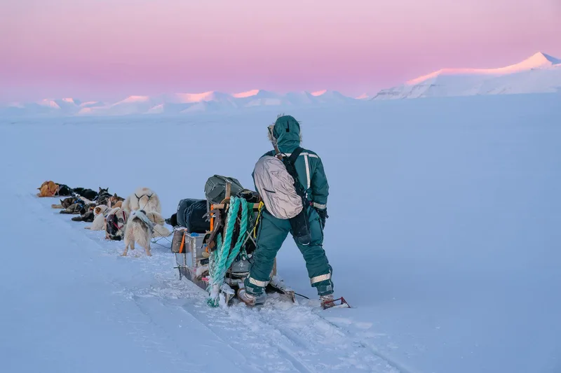 Dog sledding through the snow