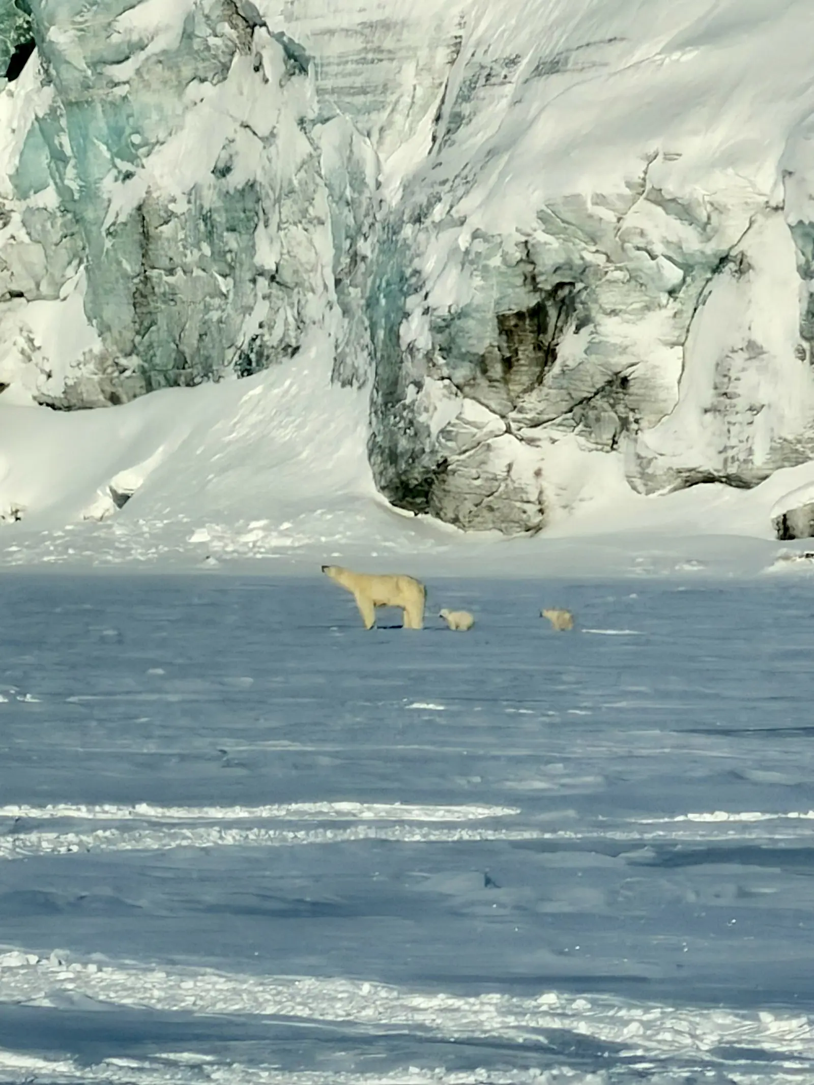 Edge of the Arctic: East coast adventure – 2