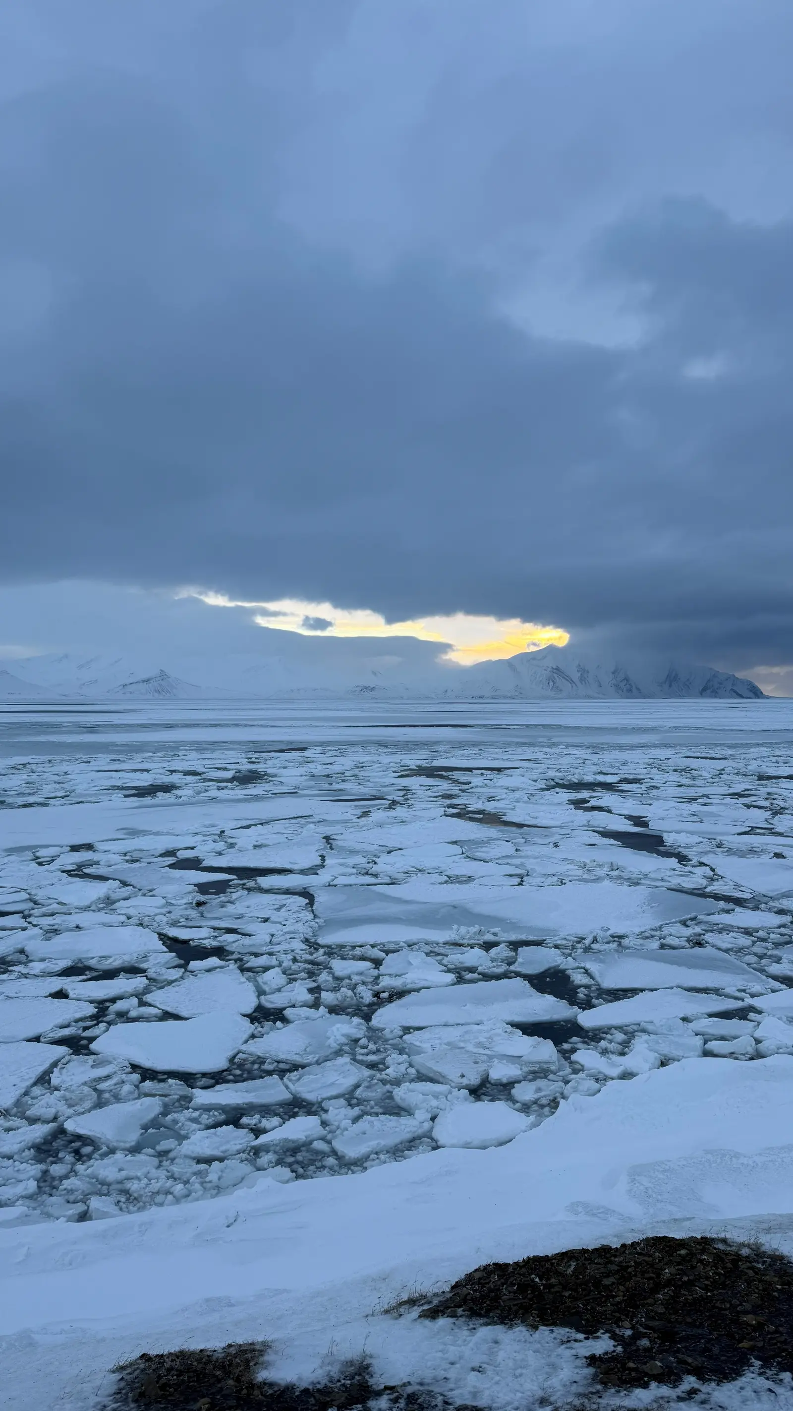 Edge of the Arctic: East coast adventure – 3