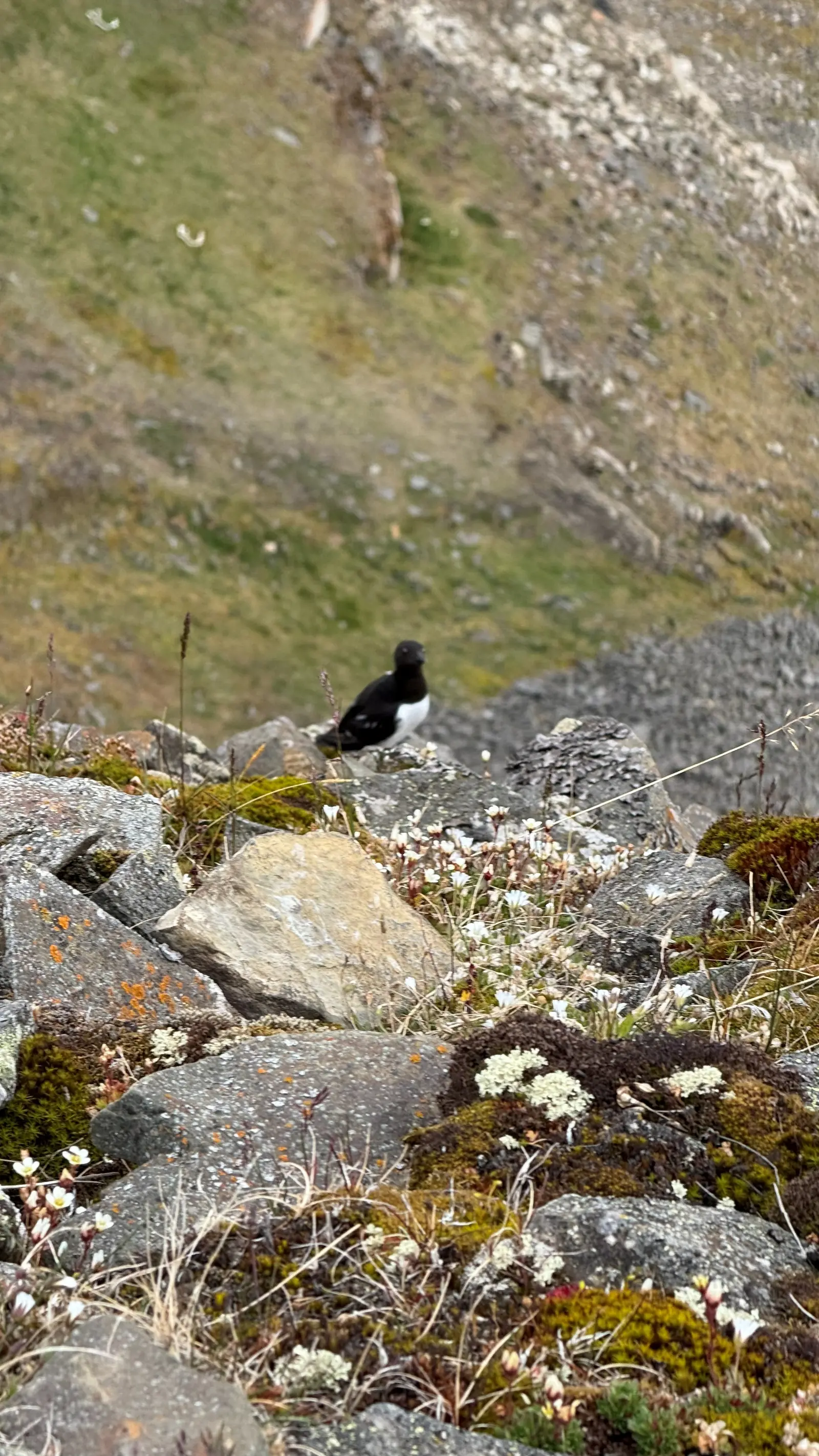 Glacier crossing and exploring with ropes – 1
