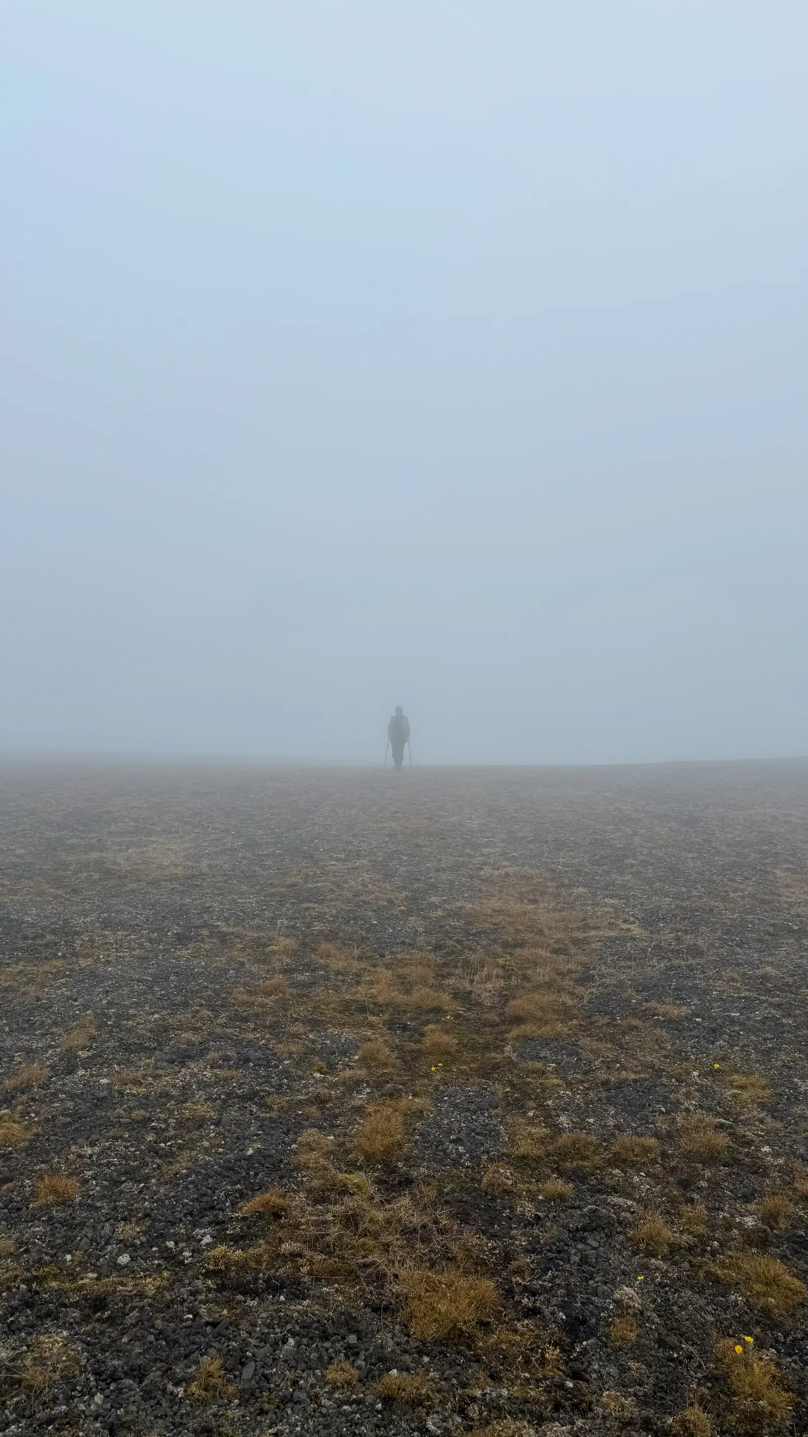 Glacier crossing and exploring with ropes – 5
