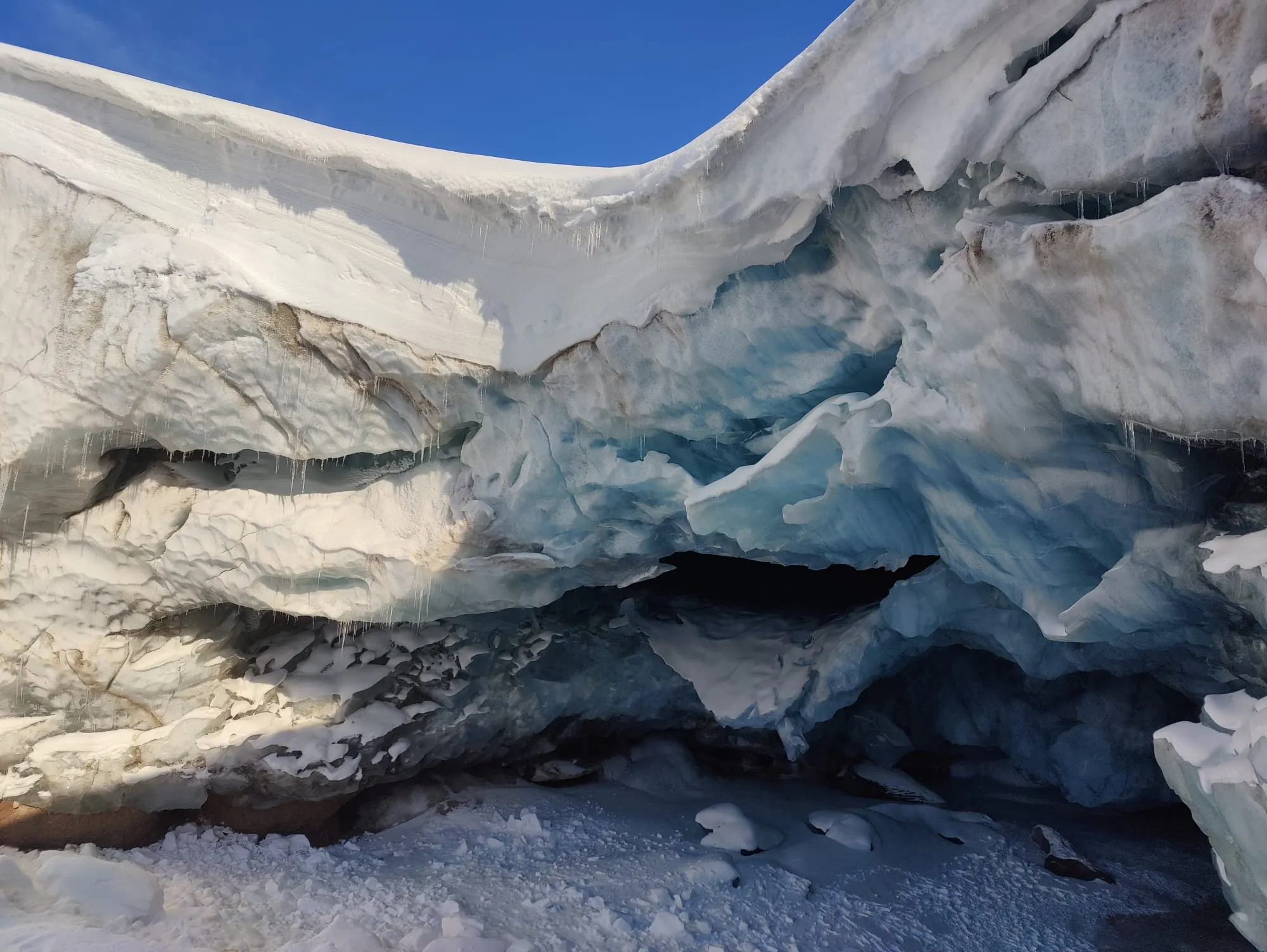 Edge of the Arctic: East coast adventure – 8