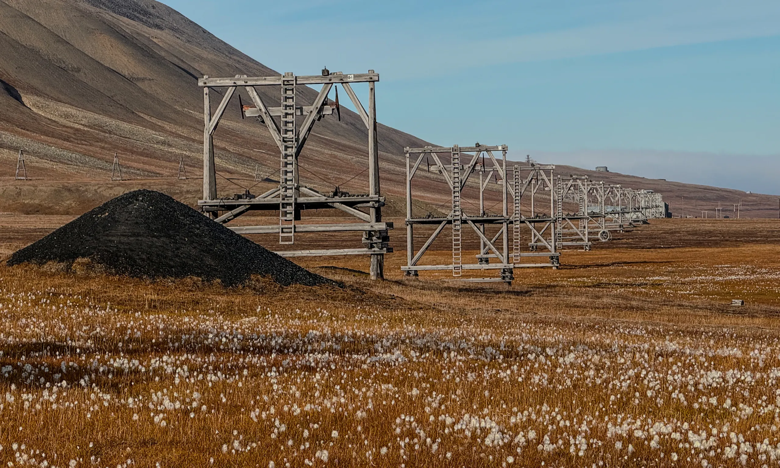 Wildlife scouting around Longyearbyen – 8